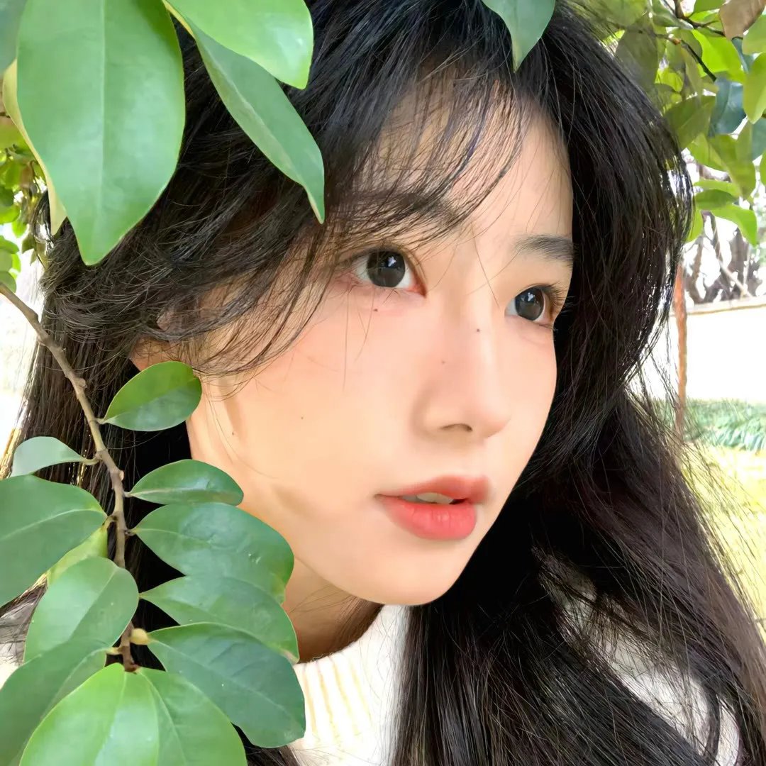 摊牌了我就是总裁大人