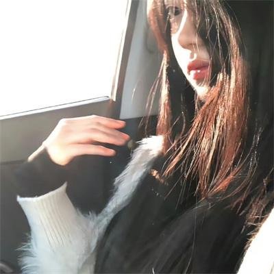 猫和老鼠在纽约